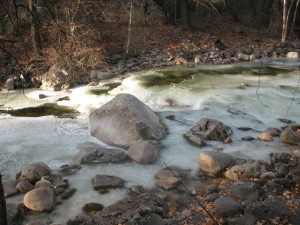 Ice forming on 20 Mile Creek