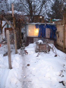 Hen House in Winter