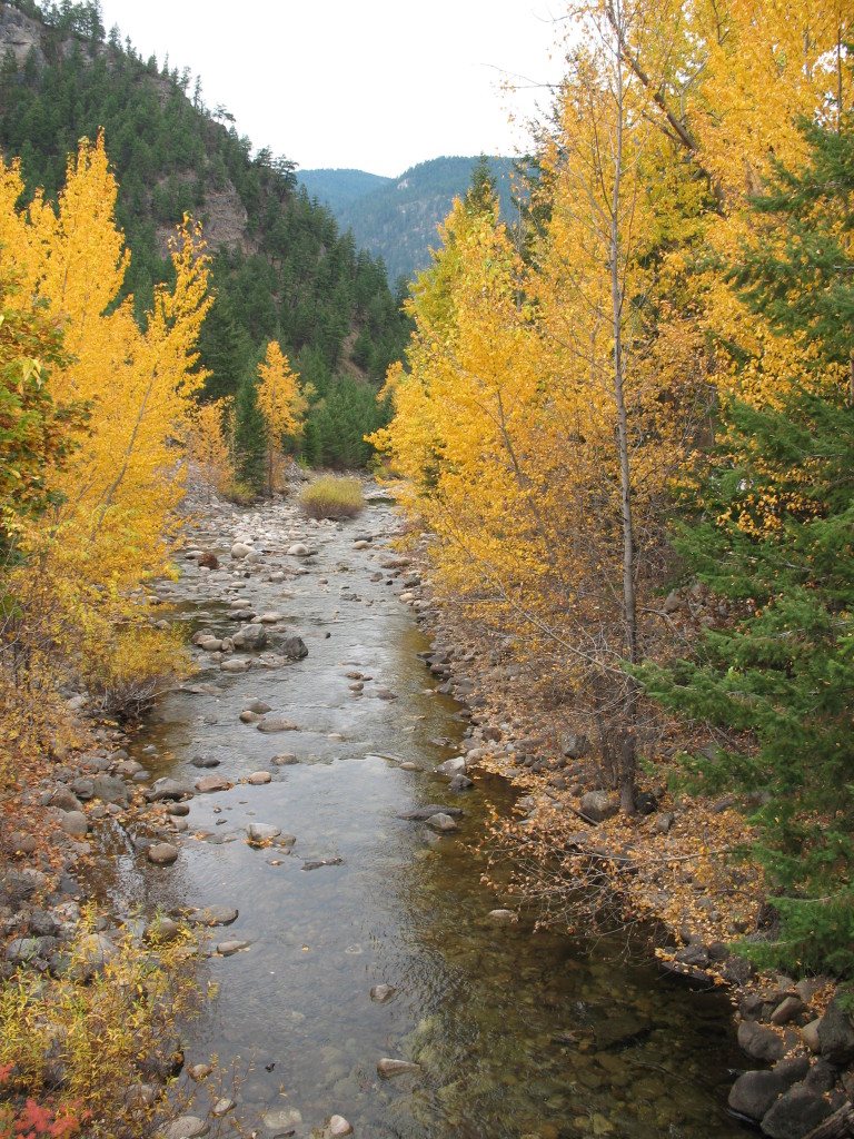 20 Mile Creek in Autumn