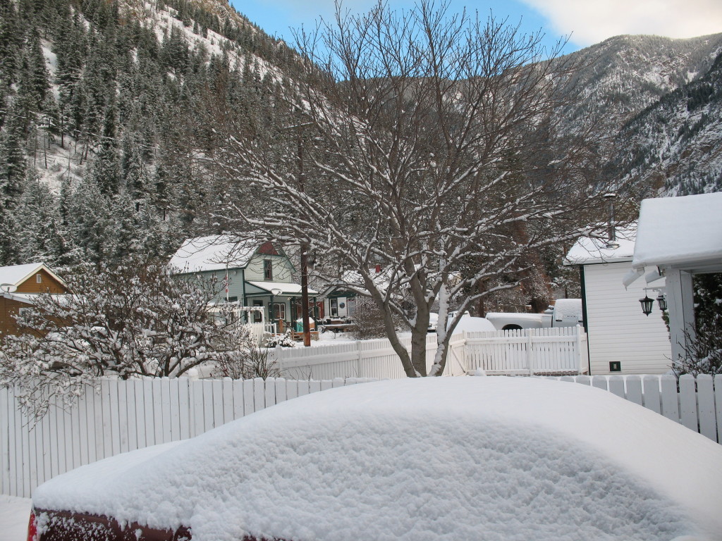Winter view from our front deck, after last night's snowfall.